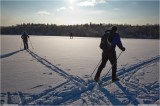 Thumbs/tn_Img_6249.jpg
