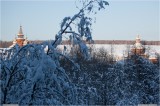 Thumbs/tn_Img_6270.jpg