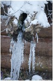 Thumbs/tn_Img_6272.jpg