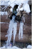 Thumbs/tn_Img_6275.jpg
