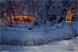Thumbs/tn_Img_6297.jpg