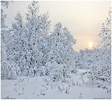 Thumbs/tn_IMG_3482_Panorama.jpg