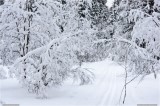 Thumbs/tn_Img_3352.jpg