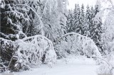 Thumbs/tn_Img_3355.jpg