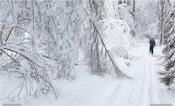 Thumbs/tn_Img_3378.jpg