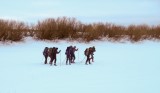 Thumbs/tn_Img_4449.jpg