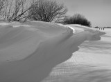 Thumbs/tn_Img_4470.jpg