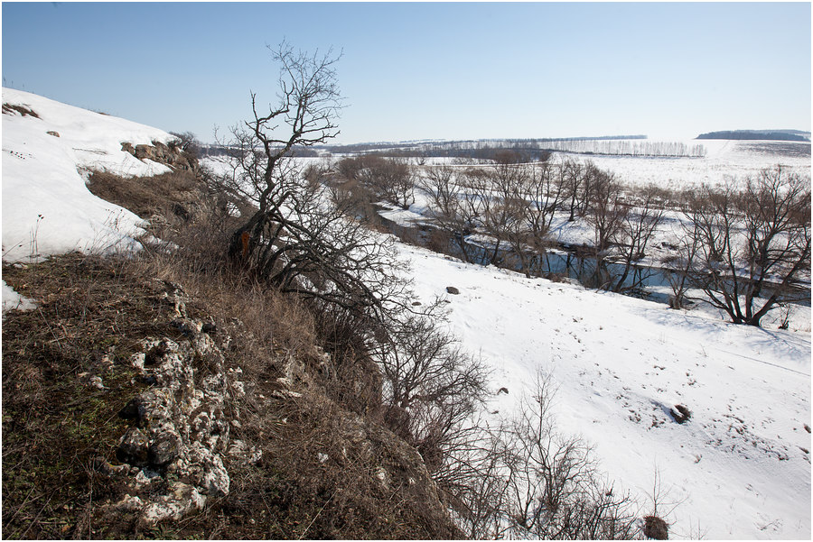 Щучье городище Щучье городище